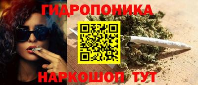 a pvp Обнинск