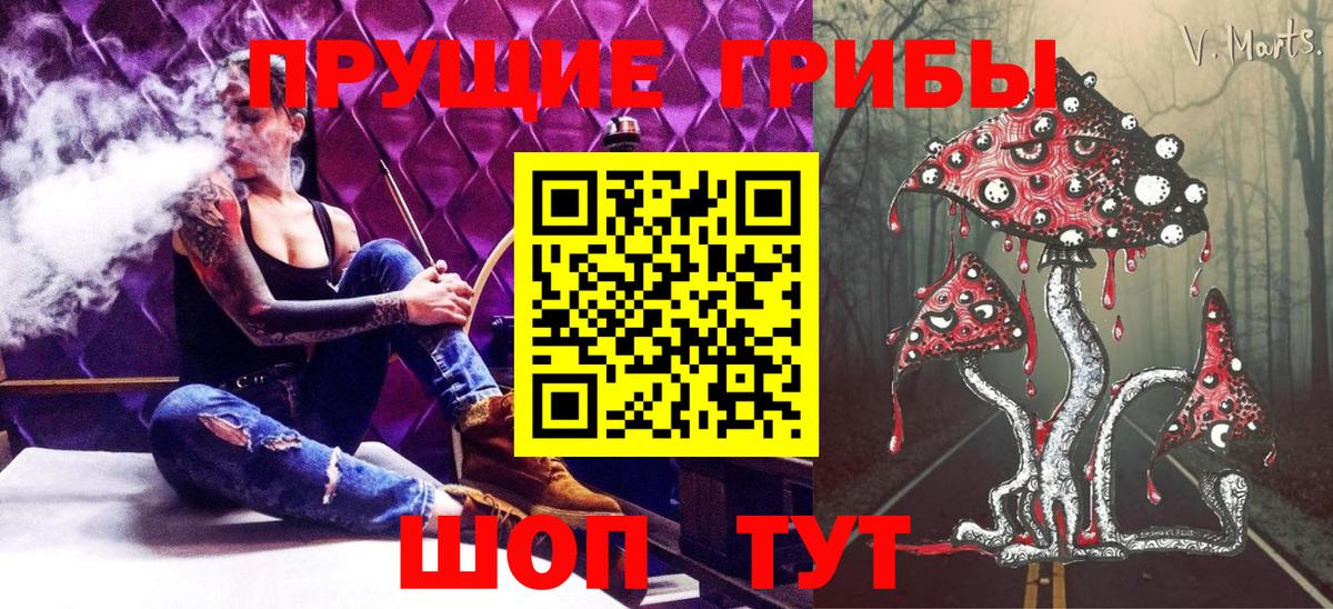 Галлюциногенные грибы Psilocybe Верхний Уфалей