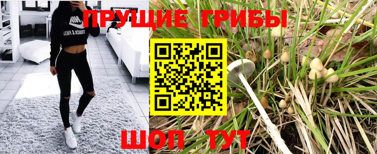Верхний Уфалей  Галлюциногенные грибы Psilocybine cubensis  Вход с VPN 
