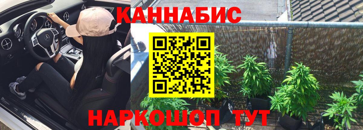 Бошки Шишки OG Kush Верхний Уфалей